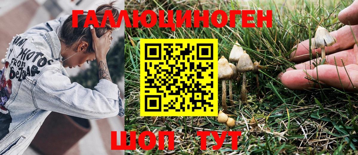 Галлюциногенные грибы Magic Shrooms  Вход с VPN  Псилоцибиновые грибы Psilocybine cubensis  Ростов Великий 